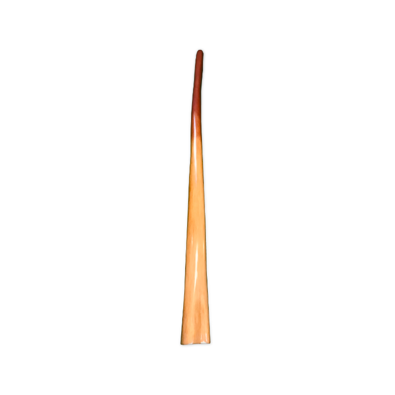 q1.png